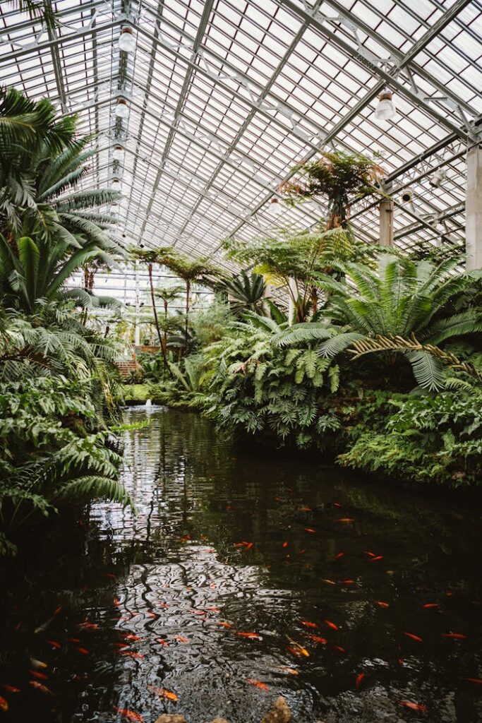 pexels photo 2560900 Serene view of a tropical fish pond in a lush greenhouse, featuring vibrant foliage and a glass roof.